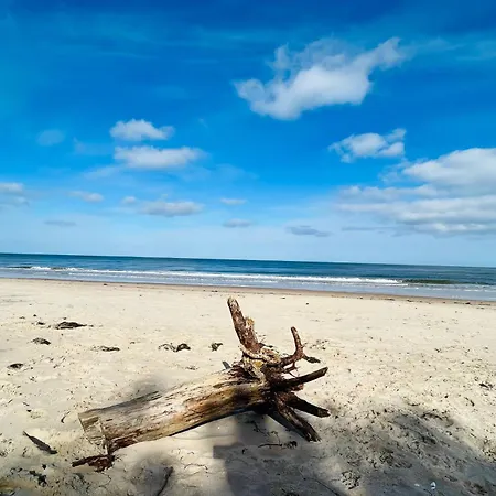 Apartment Scaniferienhaus *